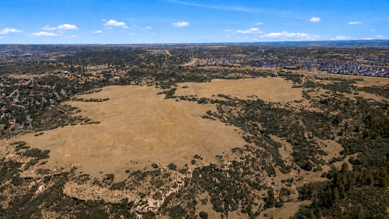 Aerial view of the open meadow and surrounding development